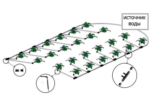 Схема капельного полива в теплице 3х6