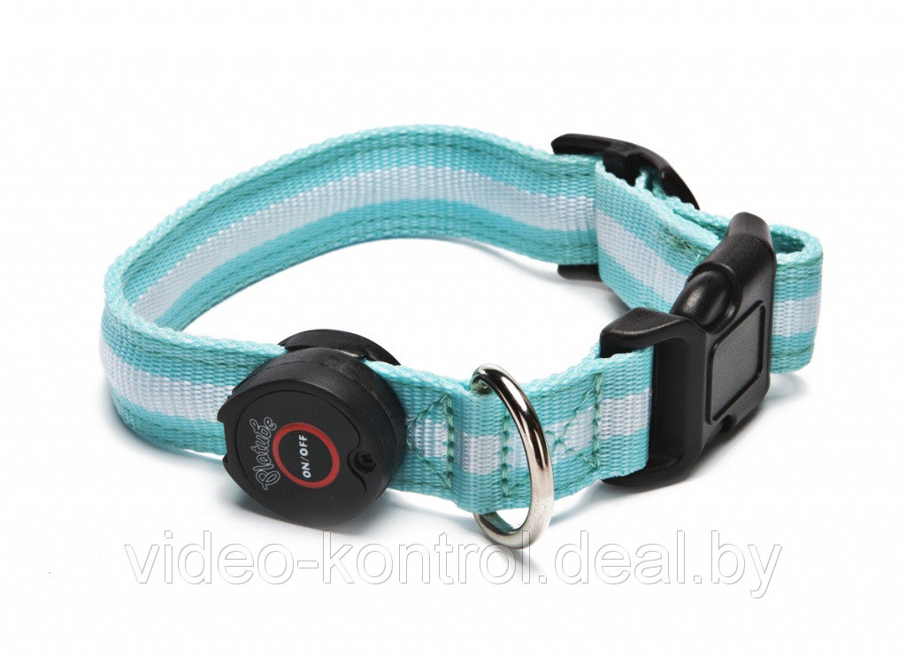 Oshejnik-dlya-sobak-svetodiodnyj-S-BRADEX-TD-0172